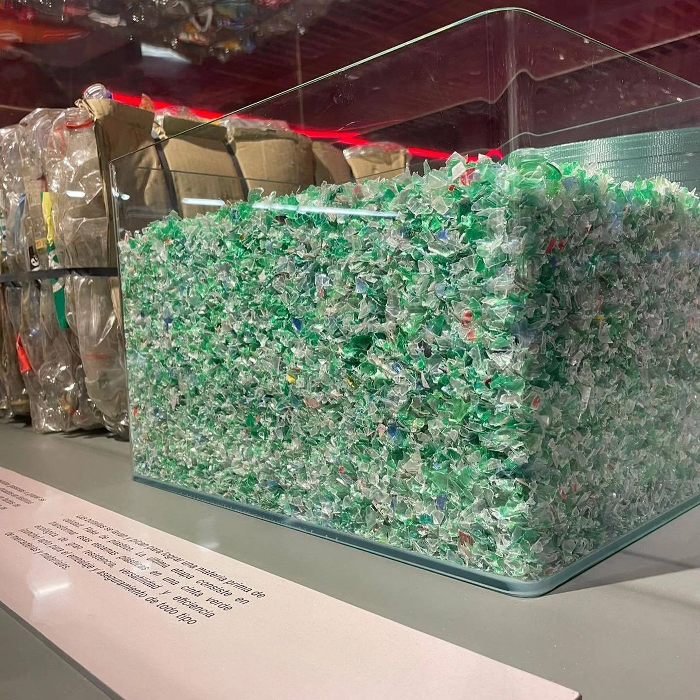 Contenedor transparente lleno de fragmentos de plástico verde triturado expuesto en una muestra sobre reciclaje de botellas.