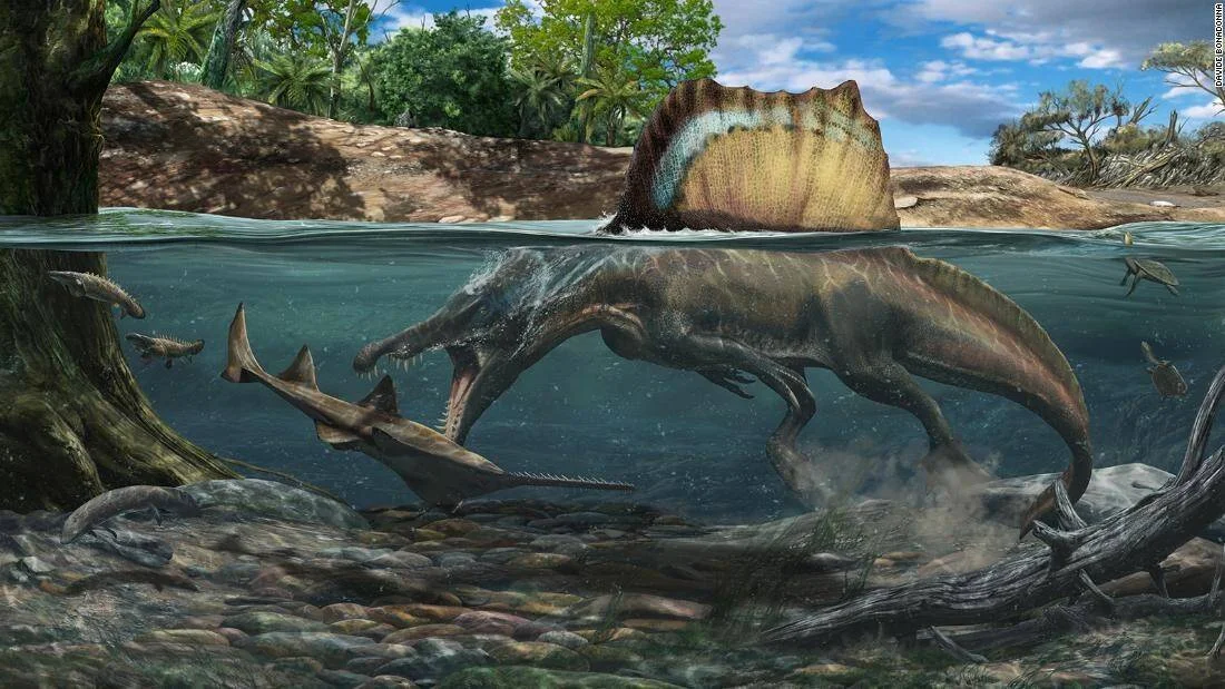 Recreación artística de un Spinosaurus cazando un pez dentro de un río, mostrando su vela dorsal sobre la superficie del agua.