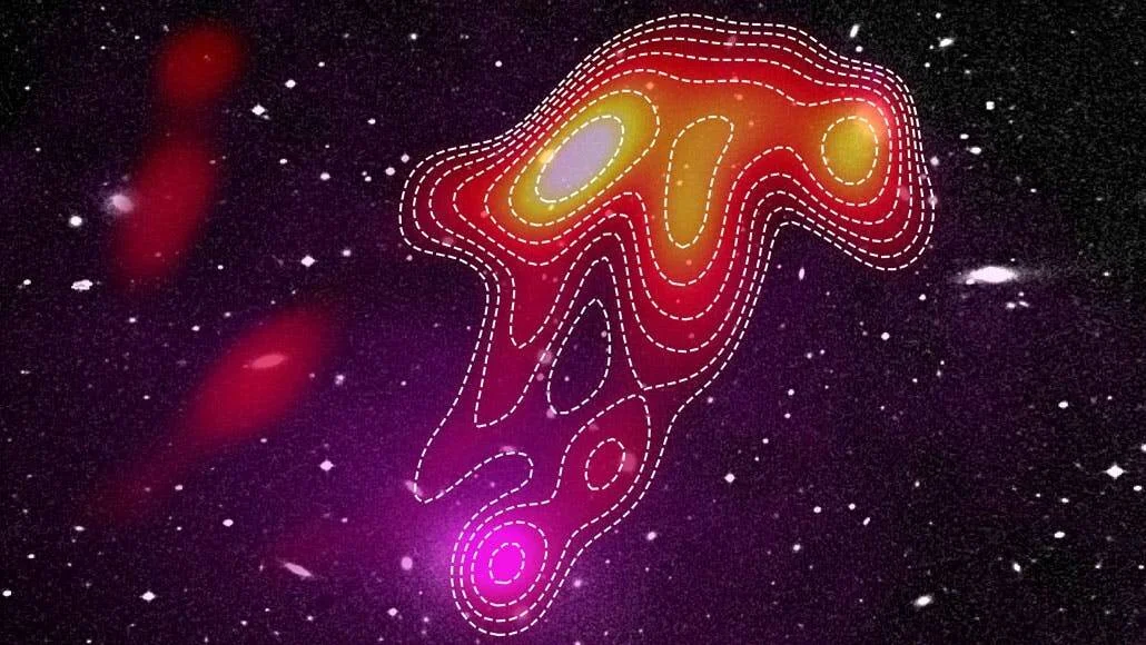 Visualización de emisión de radio de una galaxia con líneas de contorno blancas punteadas sobre fondo estelar oscuro, mostrando una estructura elongada en colores rojo, naranja y amarillo.