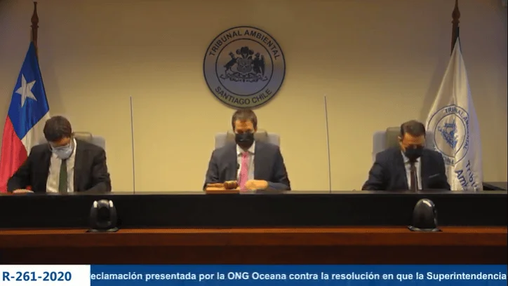Tres magistrados con mascarilla presiden una sesión del Tribunal Ambiental de Santiago, Chile, en causa R-261-2020 por reclamación de ONG Oceana.