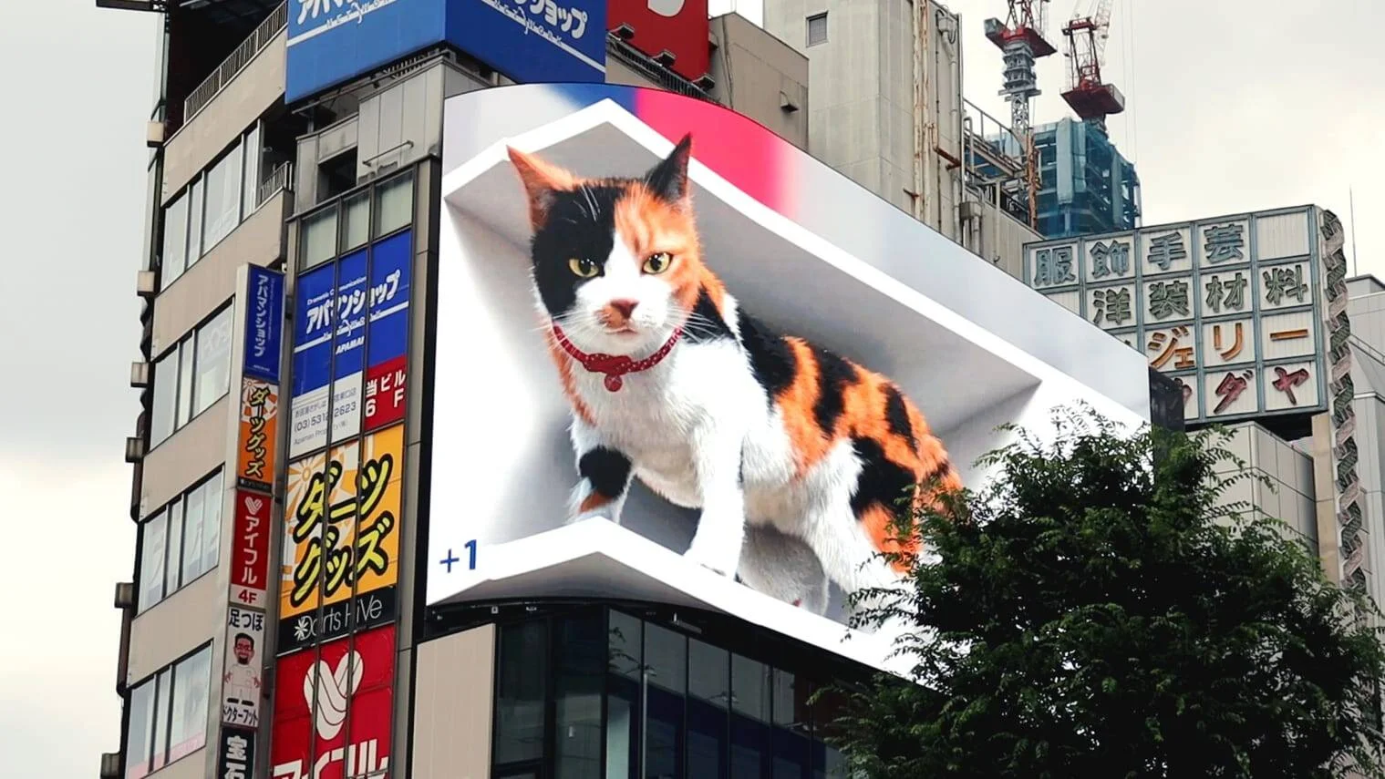 Pantalla publicitaria 3D en un edificio de Tokio muestra un gato tricolor de tamaño gigante con efecto de profundidad.