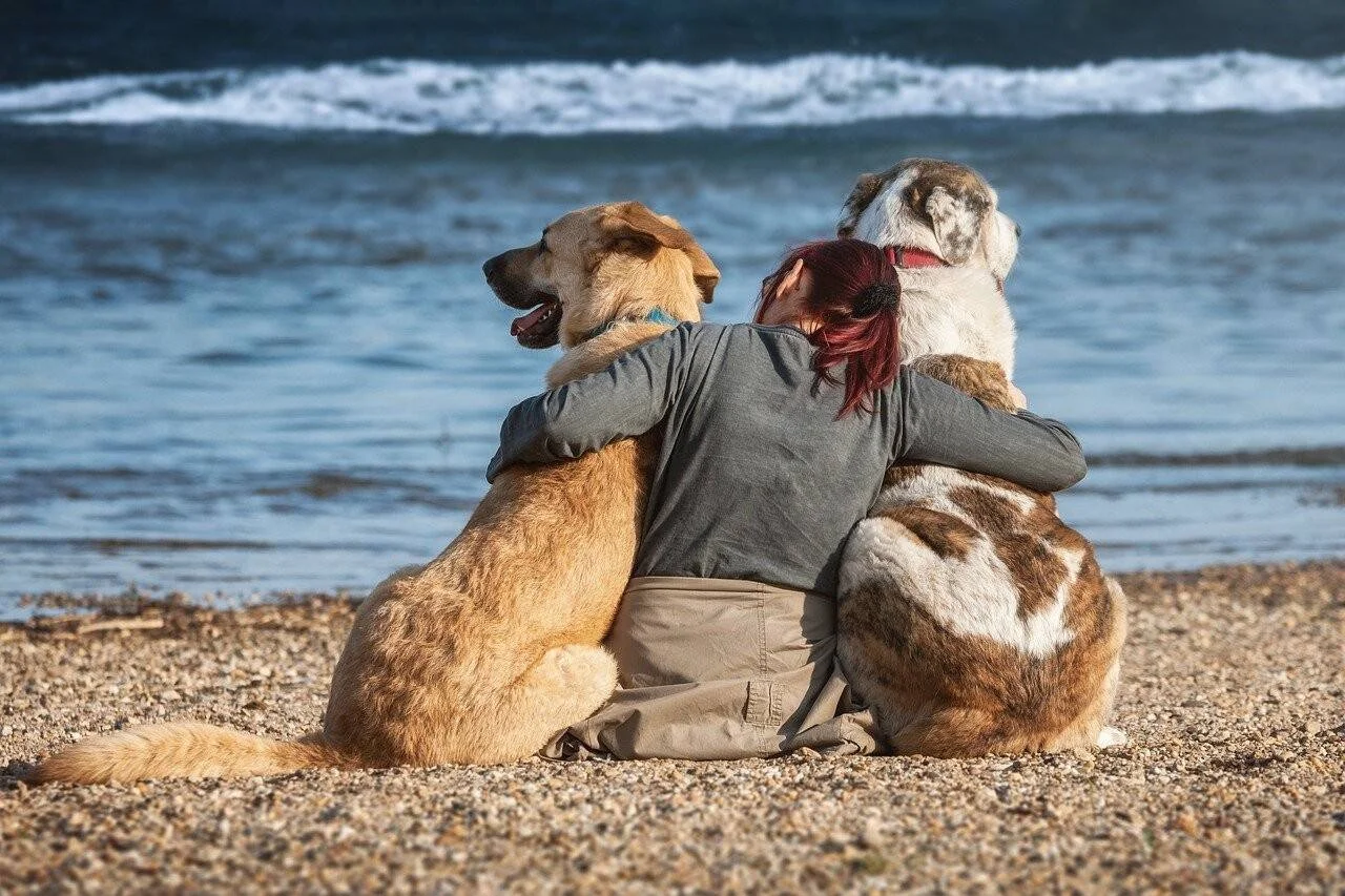 Una mujer sentada de espaldas en la orilla abraza a dos perros grandes mientras contemplan el mar.