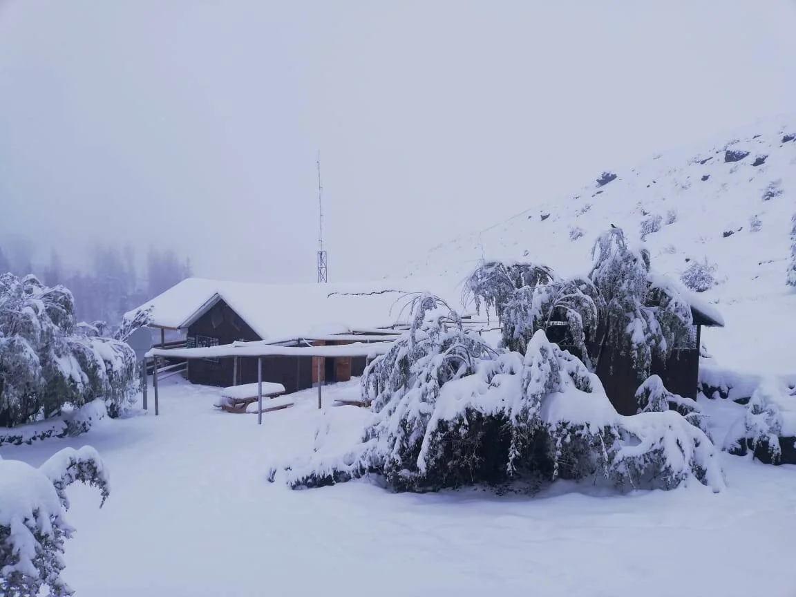 Cabaña de madera y árboles completamente cubiertos de nieve en un paisaje montañoso con niebla densa.