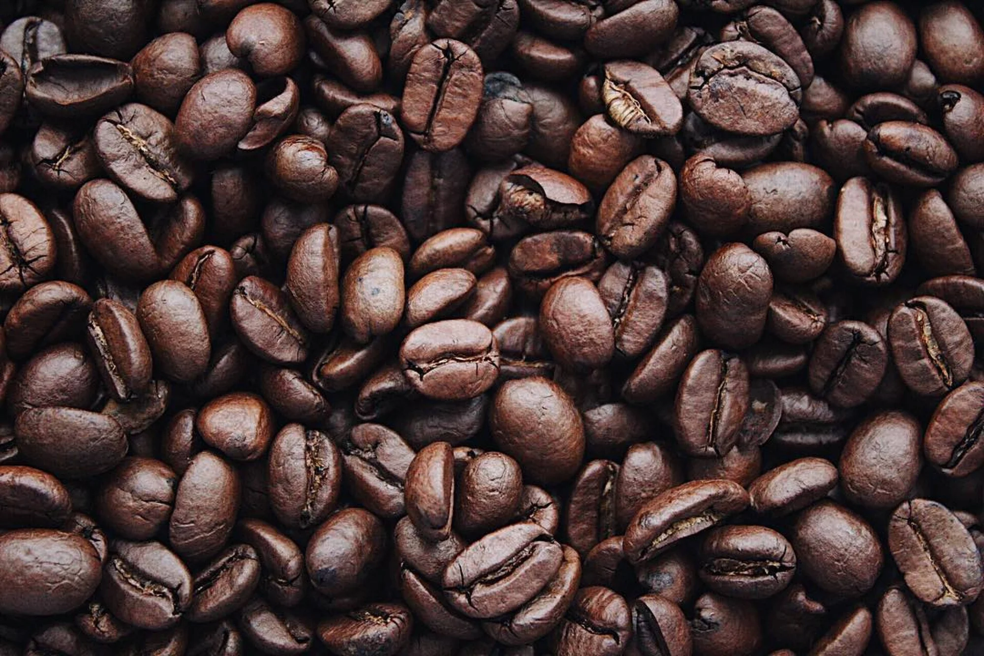 Gran cantidad de granos de café tostado de color marrón oscuro vistos desde arriba, cubriendo toda la superficie.