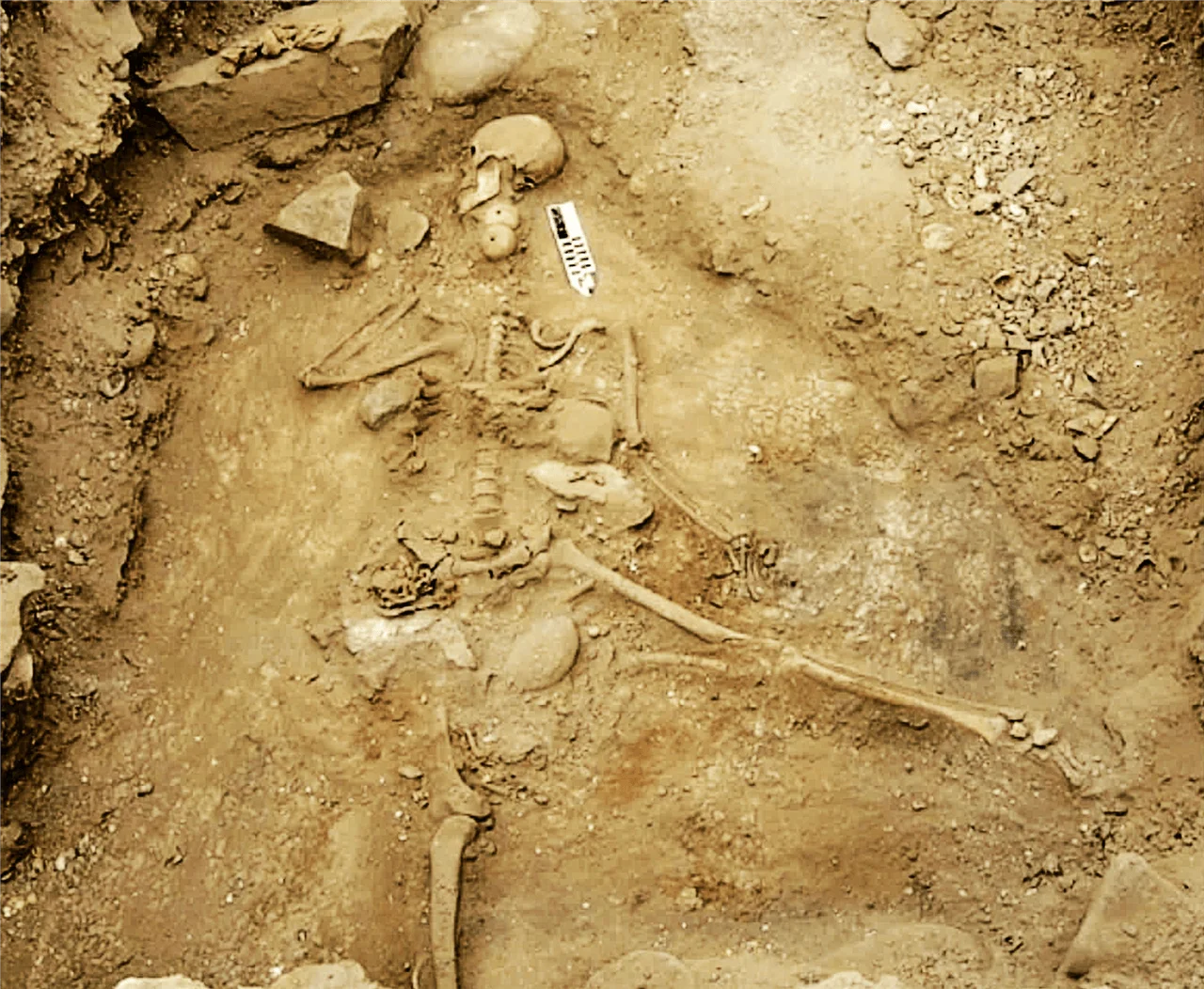 Restos óseos humanos en posición fetal expuestos en una fosa de excavación arqueológica, con escala métrica visible.