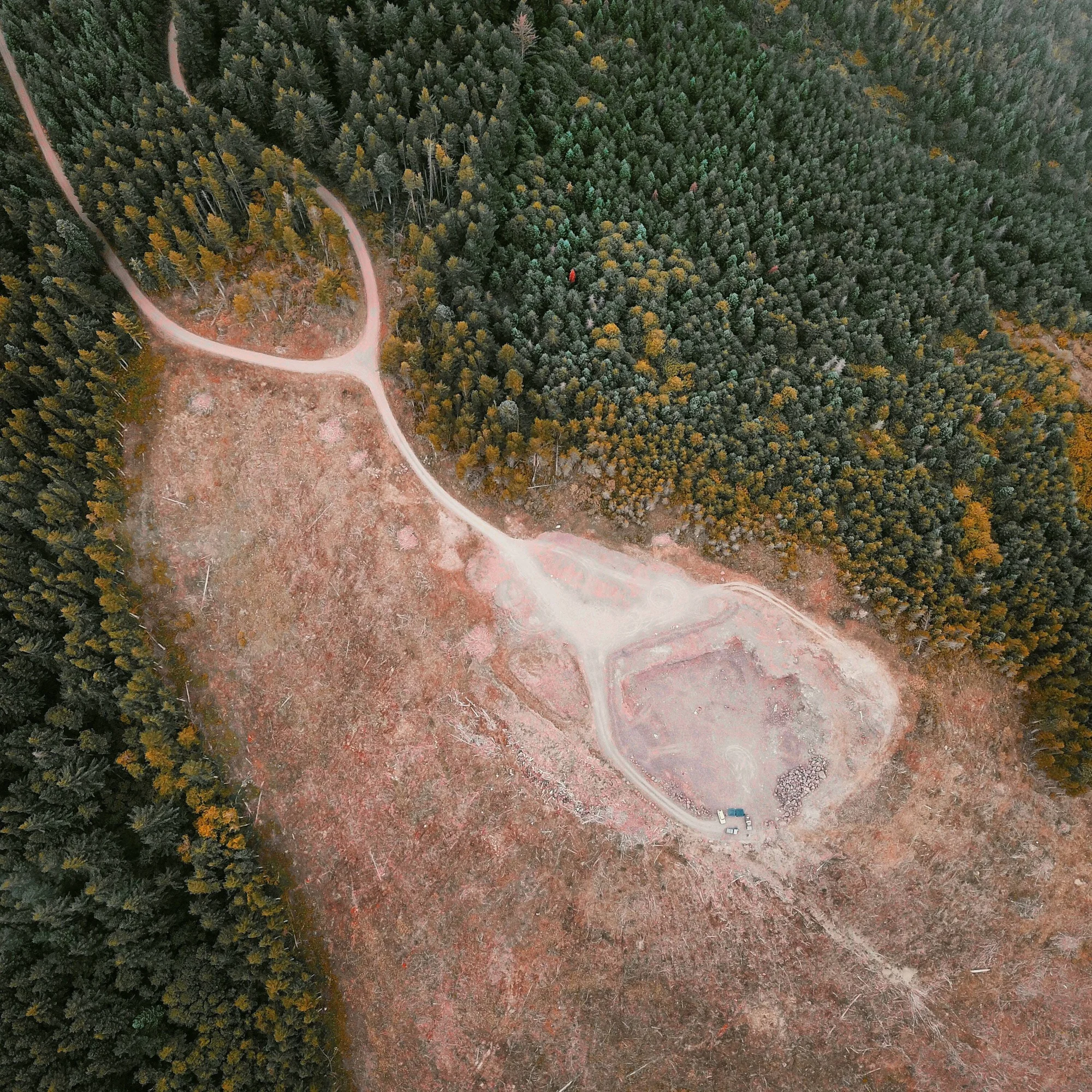 Vista aérea de una zona deforestada con caminos de tierra rodeada de bosque de coníferas verdes y amarillas.