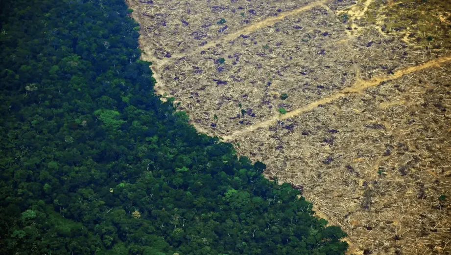 Vista aérea que muestra el contraste entre selva tropical densa y una extensa zona deforestada y árida.