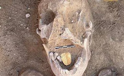 Cráneo humano hallado en excavación arqueológica con una lengua de oro colocada en la boca, junto a escala métrica.