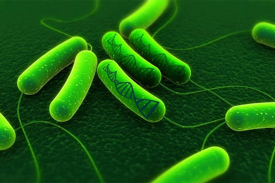 Representación digital de bacterias verdes con cadenas de ADN visibles en su interior, sobre fondo oscuro.