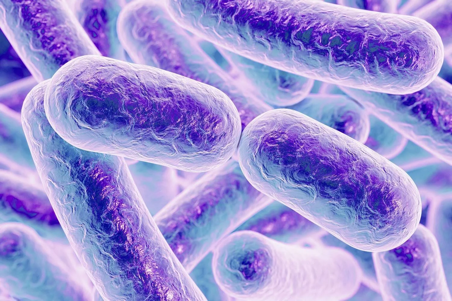 Representación tridimensional de bacterias con forma bacilar en tonos violeta y azul sobre fondo difuso.