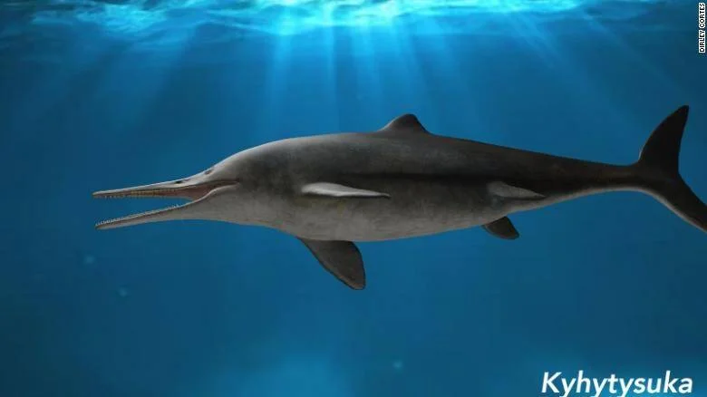 Recreación artística del ictiosaurio Kyhytysuka nadando bajo el agua con su hocico largo y dientes visibles.