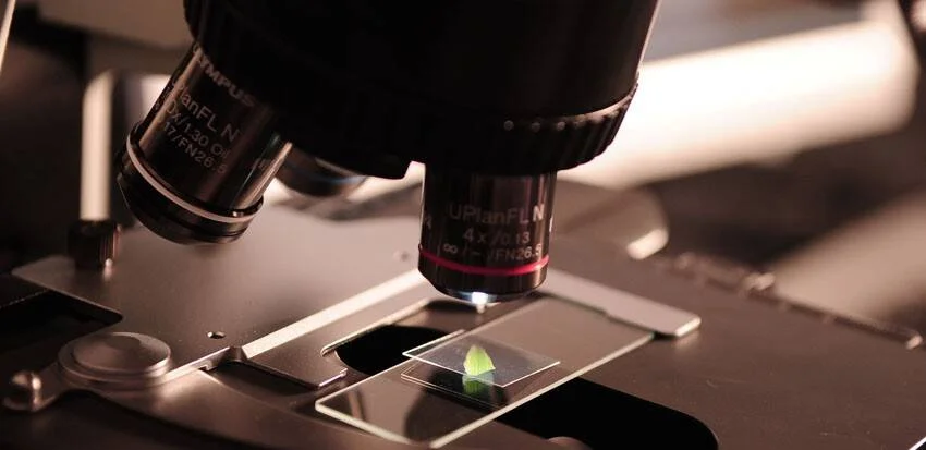 Objetivos de microscopio Olympus enfocando una pequeña muestra vegetal verde sobre un portaobjetos en laboratorio.