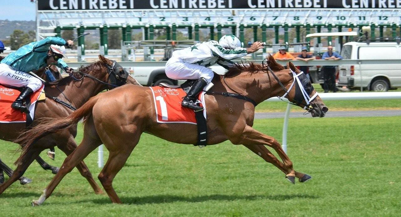 Jinete con uniforme blanco y verde monta el caballo número 1 en primer lugar durante una carrera en el hipódromo Centrebet.