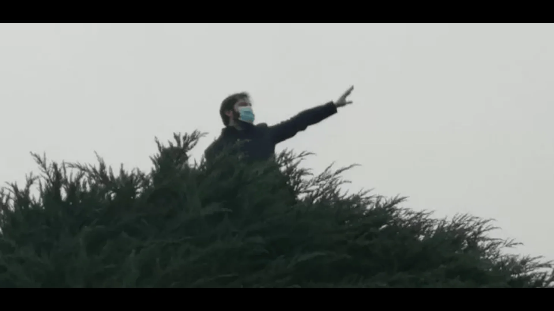 Hombre con mascarilla quirúrgica subido a la copa de un árbol, con el brazo extendido señalando hacia un lado.