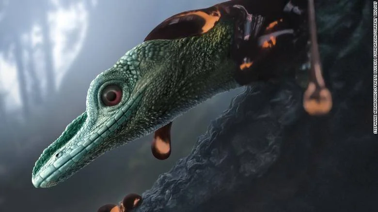 Ilustración de un pequeño lagarto prehistórico verde atrapado en resina de árbol, con ámbar derramándose sobre su cuerpo.
