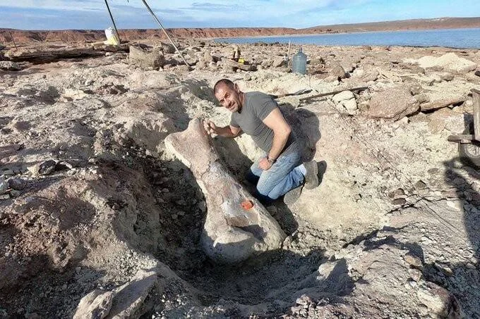 Un hombre arrodillado junto a un enorme hueso fósil recién excavado en un yacimiento paleontológico a orillas de un lago.