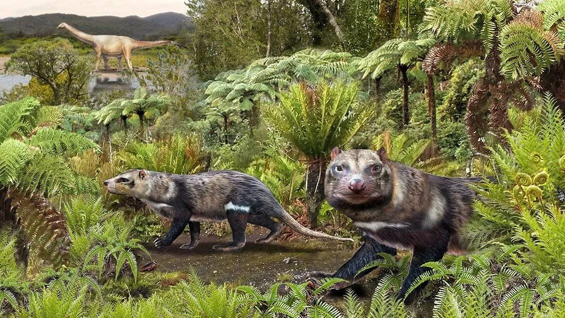 Recreación artística de dos mamíferos prehistóricos caminando entre helechos, con un dinosaurio saurópodo al fondo.