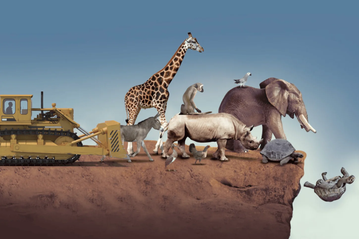Ilustración conceptual: una bulldozer acorrala animales silvestres —jirafa, elefante, rinoceronte, tortuga— hacia el borde de un precipicio, simbolizando la extinción por destrucción del hábitat.