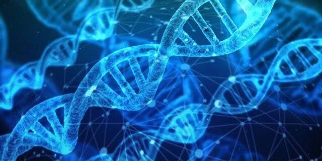 Representación 3D de múltiples hélices de ADN en tonos azules sobre fondo oscuro con red de conexiones.